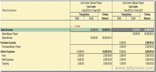 Cost Center reports 