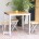 Stainless steel table with eucalyptus wood FSC...